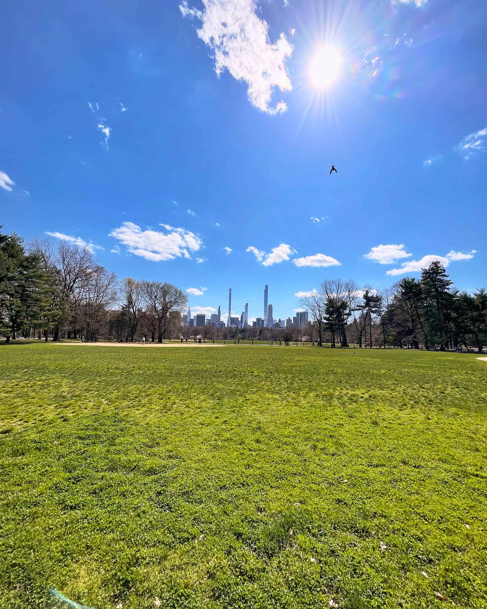 The Great Lawn, Central Park, NYC
